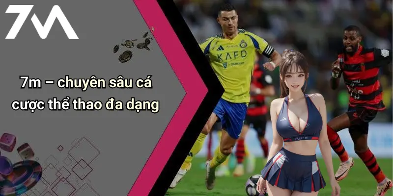 7M: Tổng Quan Diễn Đàn Cá Cược Trực Tuyến Hiện Đại 69 7m – chuyên sâu cá cược thể thao đa dạng