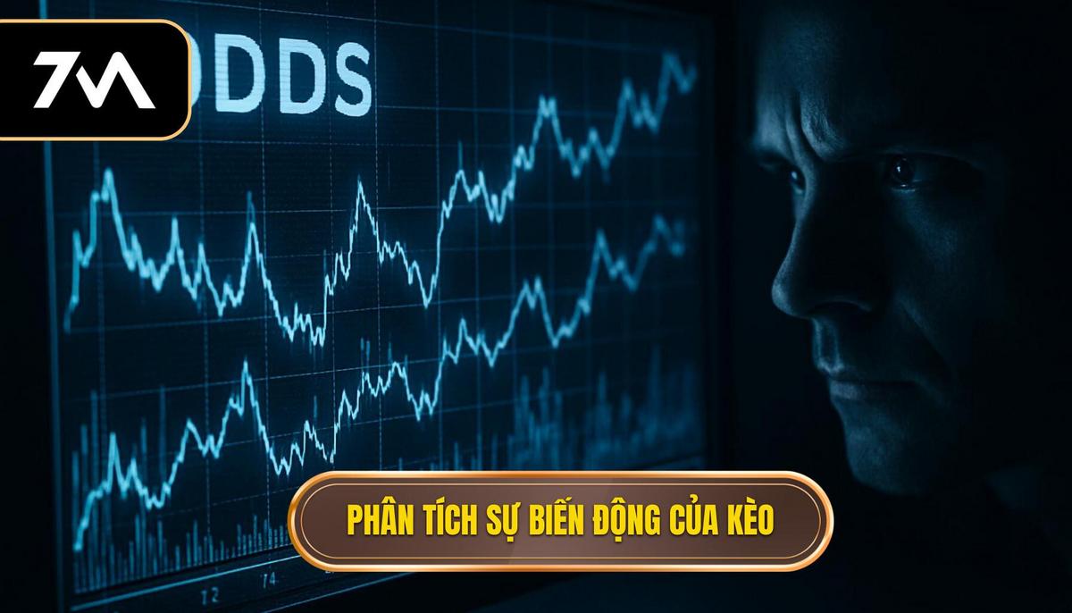 Phân tích Chuyên sâu Sự Biến động của Kèo