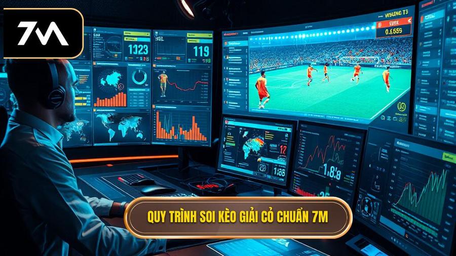 2. Quy trình soi kèo giải cỏ chuẩn 7M